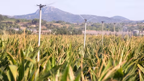 Agriculture Bio en europe