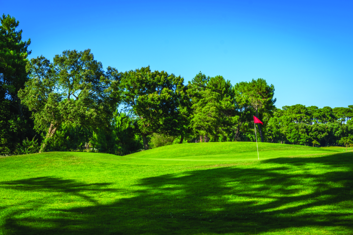 In the summer of 2022, many golf courses have been banned from watering their fairways, and in some cases, their tees and greens.