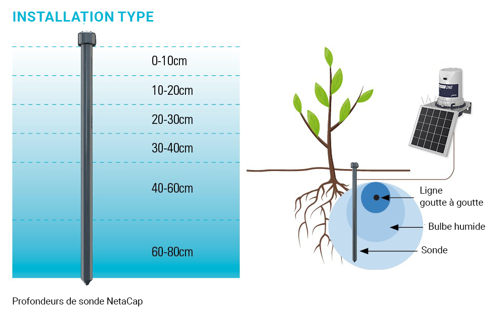 Sonde d'humidité Netacap