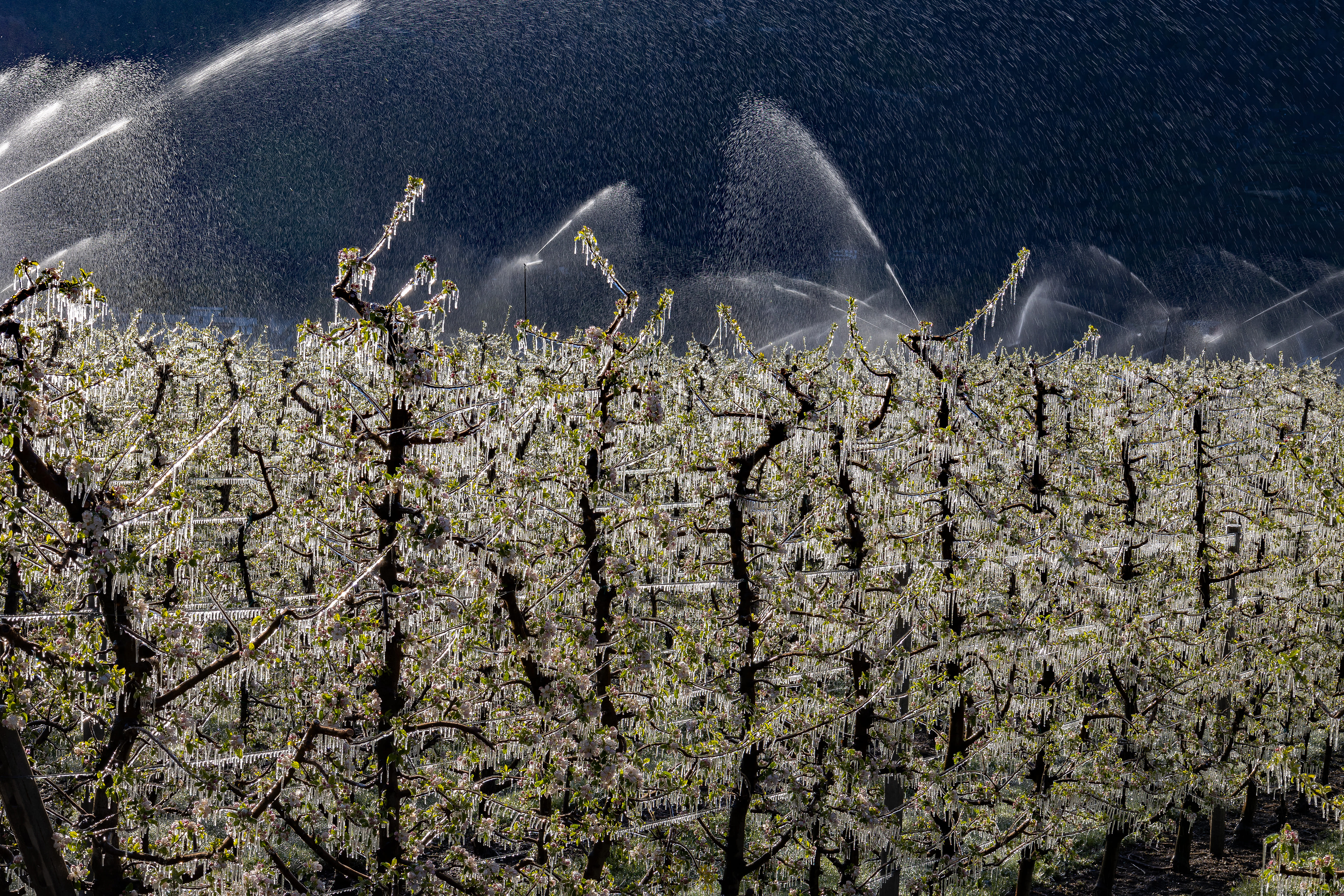 comment l'eau protège les cultures 
