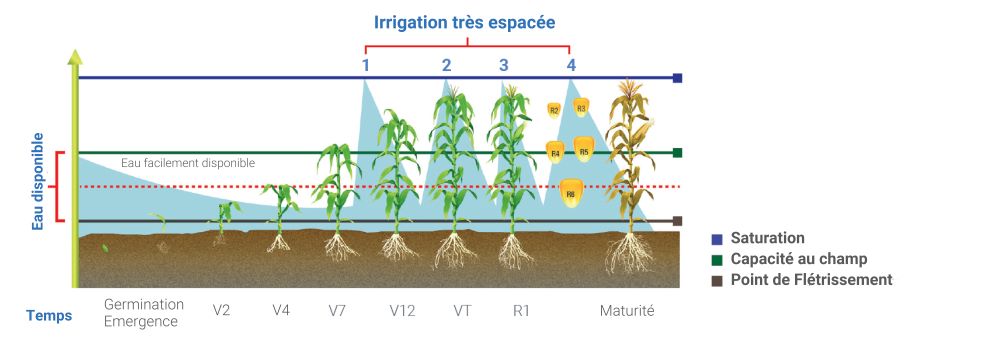 hose reels irrigation