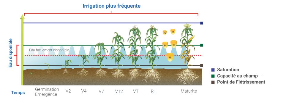 drip irrigation