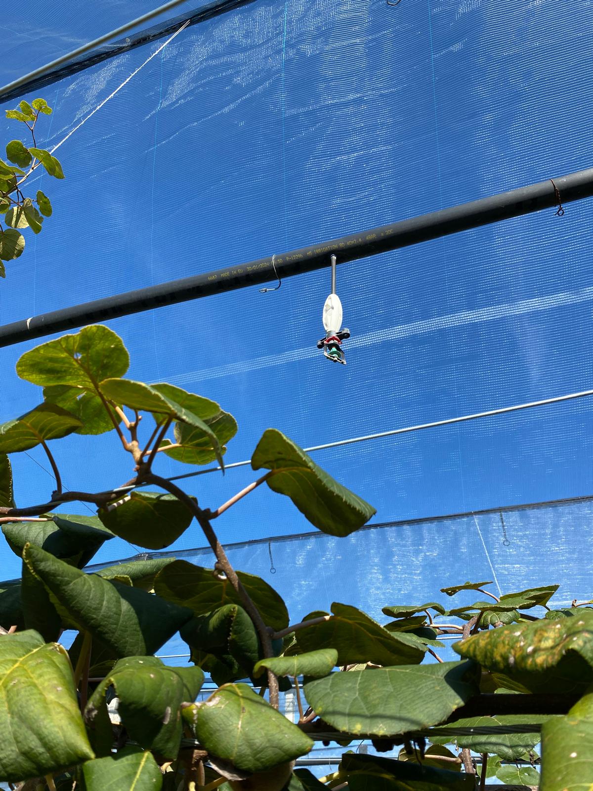  Irrigation de précision sous la canopée