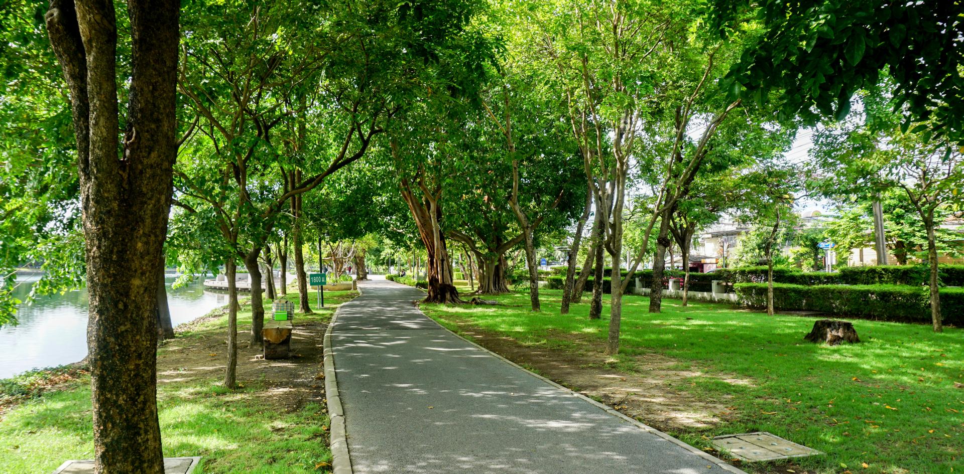 place de Catalogne, Paris