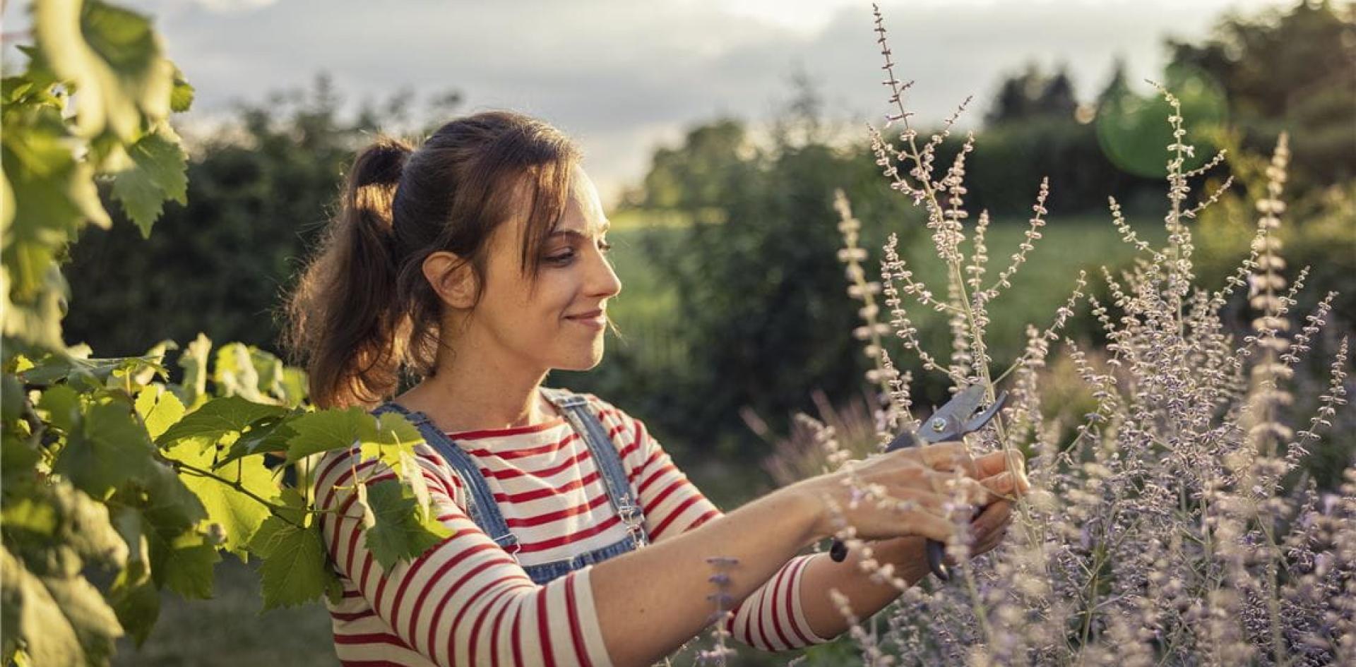 in the garden, everything we do has an impact on the species of plants, birds, animals and in-sects that inhabit the area