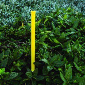 Hunter  12” Eco-Indicator 