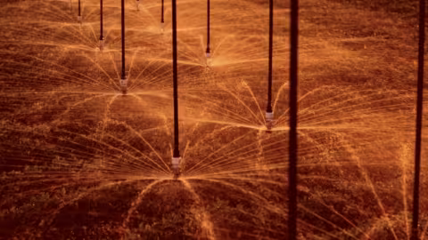 About 10 000 operating hours, growers should consider replacing sprinklers and pressure regulators