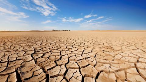 Cet été, quasiment tous les cours d'eau du continent européen se sont asséchés.