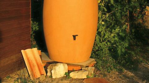 the rush for blue gold