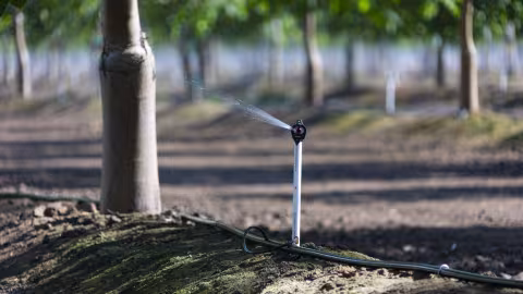 micro-irrigation 