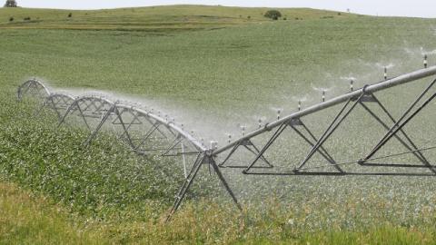 Installation avec asperseurs basse pression montés sur le sommet de la canalisation principale