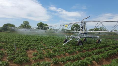 Les rampes d’irrigation tractées par les enrouleurs