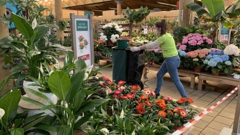 Ainsi les jardineries peuvent accueillir du public et ouvrir l’ensemble de leurs rayons, notamment les rayons dédiés aux semences et plants potagers dès lors qu’elles exerçaient conformément au décret du 23 mars 2020.» 