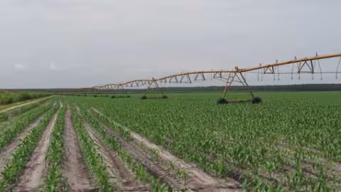 The agricultural option gradually resurfaced. In fact, by their very existence, farms constitute effective and well maintained firebreaks.