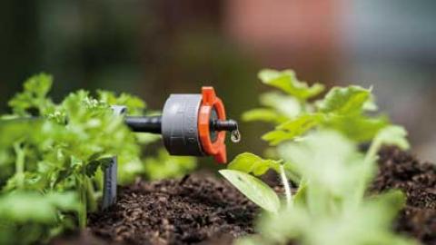 Les systèmes d’arrosage automatique existent en grand nombre sur le marché,