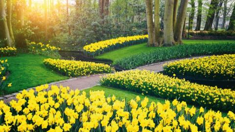 IN FRANCE, THE GREEN SPACE DEPARTMENTS (SEV) OF THE LOCAL AUTHORITIES IRRIGATE AROUND ONE FIFTHOF THE TOTAL SURFACE AREA OF THE GREEN SPACES