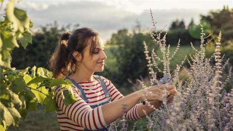 in the garden, everything we do has an impact on the species of plants, birds, animals and in-sects that inhabit the area