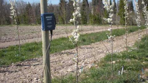 Tensiometry, which shows how much suction is required to withdraw water from the soil, gives us a direct indication of how much soil water is readily available to the roots