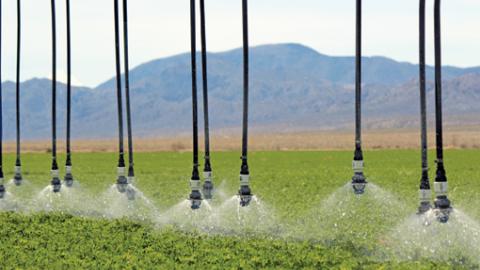 Le distributeur a été conçu pour apporter l’eau près du sol, à basse pression (environ 45 à 60 centimètres au-dessus du sol) pour éviter la dérive et l’évaporation dues au vent.