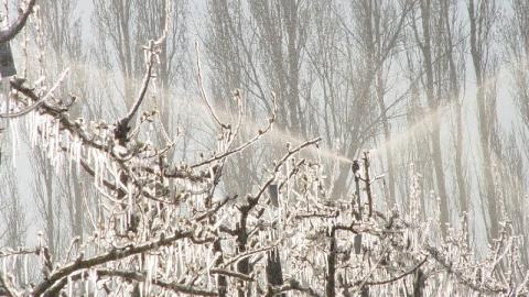 Dans des conditions extrêmes, des installations avec un hivernage correct peuvent subir des dommages