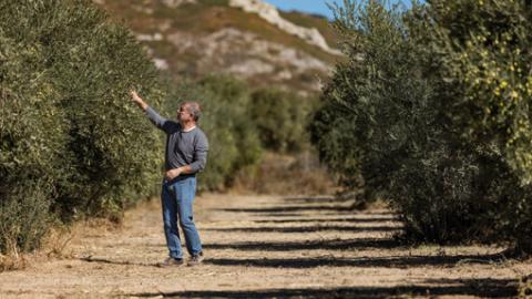 L’irrigation enterrée réalise une plus grande efficience agronomique en apportant au plus près de la plante les ressources néces saires à son parfait développement et en réduisant la production des adventices.