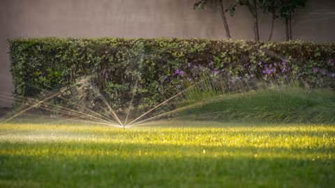 When MP Rotator Nozzles Offer a Practical Alternative to Drip Systems