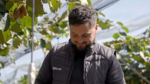 Comment l'irrigation de précision aide les vergers à s'adapter à la hausse des températures