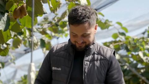 Comment l'irrigation de précision aide les vergers à s'adapter à la hausse des températures