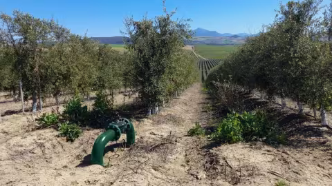 IREX Irrigation Excellence a racheté la société espagnole RIS Iberia