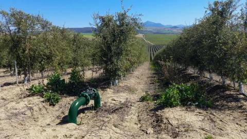 IREX Irrigation Excellence a racheté la société espagnole RIS Iberia