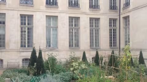 communal garden in Paris historic center