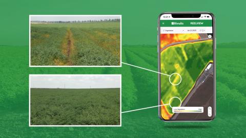 Rivulis offers a free service toits customer growersfor monitoring crops and detecting irrigation issues with satellite imagery.