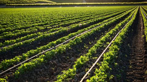 Une nouvelle identité visuelle pour les marques du groupe Irex