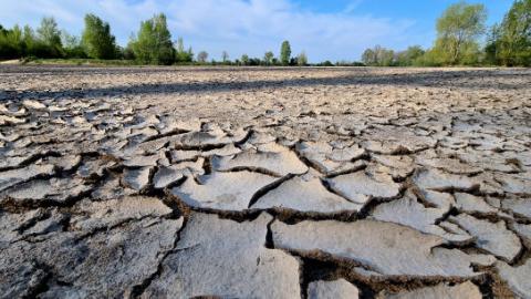 Sécheresse : la France est dans une "phase critique" du réchauffement climatique