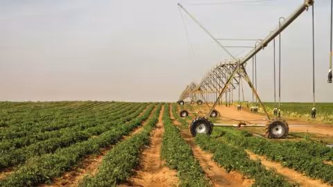 Irrigation au Sénégal