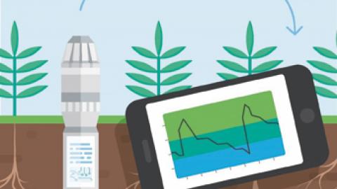 Integration Flexibility: Sentek’s EnviroSCAN and Drill and Drop soil moisture     