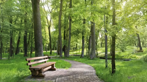 Espaces verts en milieu urbain