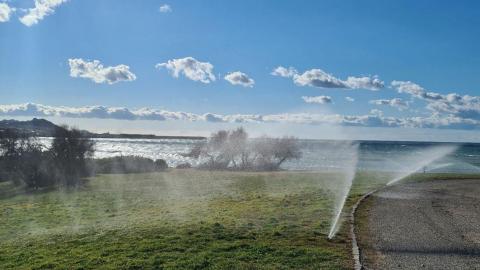 Marseilles: A Pioneering City in Landscape Management