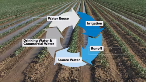 As water rounds that circle in irrigated fields, it contributes significantly to another powerful tool that puts farmers at the center of sustainability—carbon capture.