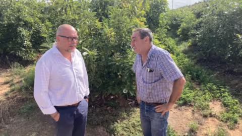 M Navarro (NaandanJain) et M. Torrente