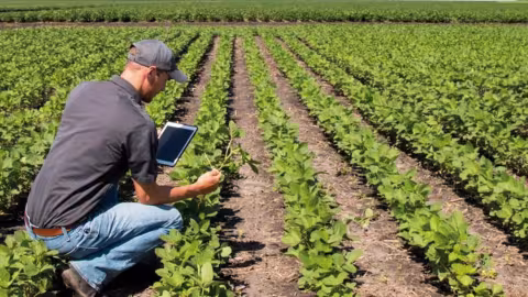 agriculture connectée