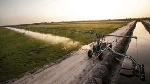 Irrigation with linear move machines