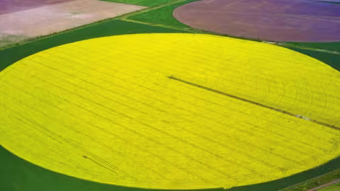 The original and most used kind of pivot irrigation applies water in a circular pattern, pivoting around a central point in the field. 