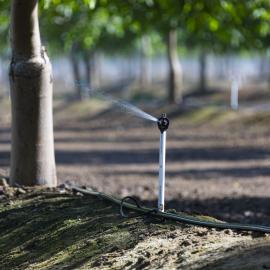 micro-irrigation 