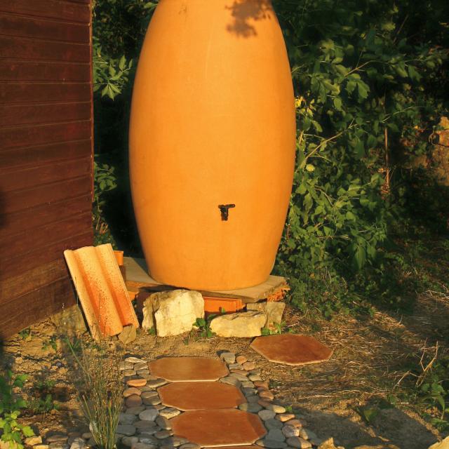 the rush for blue gold