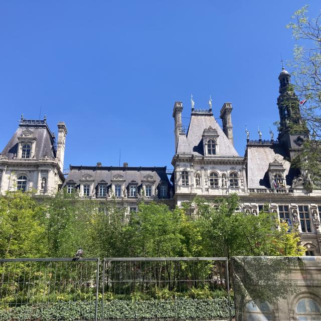  Hôtel de ville : 49 grands arbres sont en train d’être plantés en pleine terre, et une centaine de petits arbres aux feuilles non pérennes sont intégrés aux fontaines et au parvis
