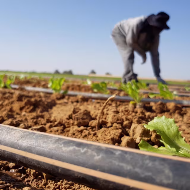 Recycling Drip Irrigation Tubing