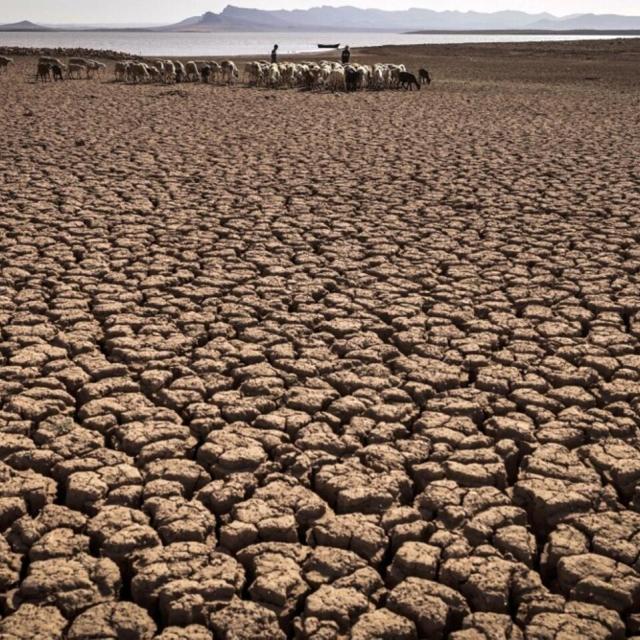 Vampiric over-consumption and over-development, unsustainable exploitation of water resources, pollution and uncontrolled global warming 