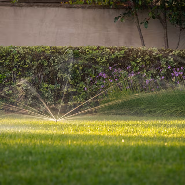 When MP Rotator Nozzles Offer a Practical Alternative to Drip Systems