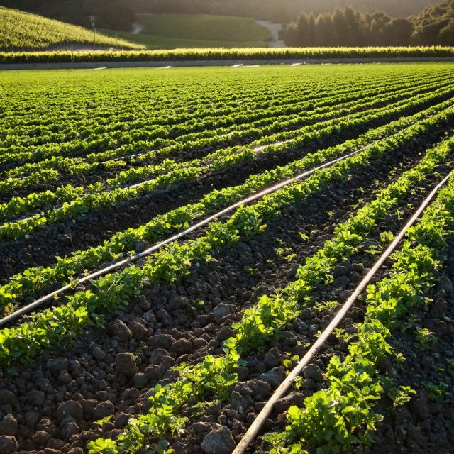 Une nouvelle identité visuelle pour les marques du groupe Irex